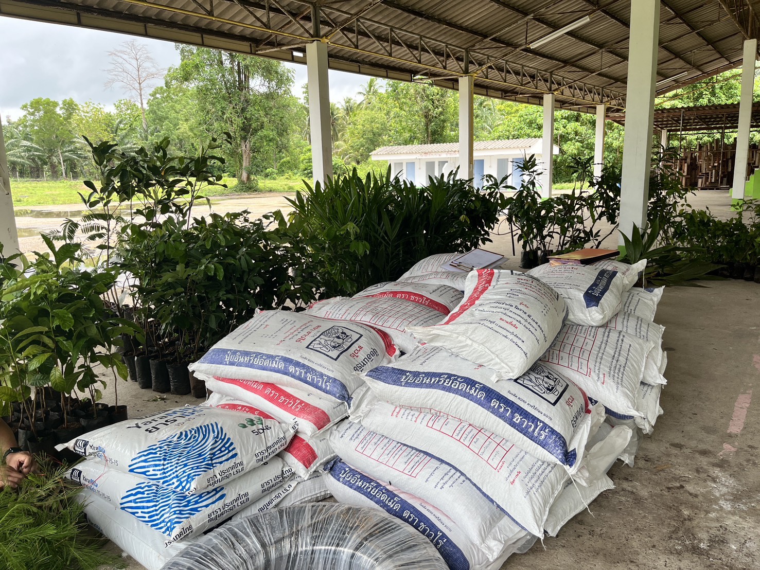 title - ส.ป.ก.ประจวบคีรีขันธ์ ดำเนินการมอบปัจจัยการผลิตโครงการพัฒนาเกษตรกรรมยั่งยืนในเเขตปฏิรูปที่ดินจังหวัดประจวบคีรีขันธ์ ปีงบประมาณ พ.ศ. 2569